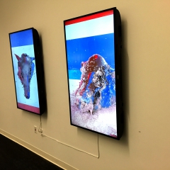 Decay ( installed 3)