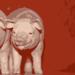 David Witherspoon Final C