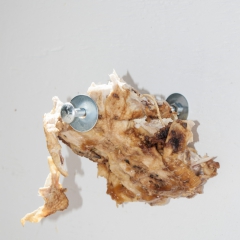 untitled (chicken) 832009