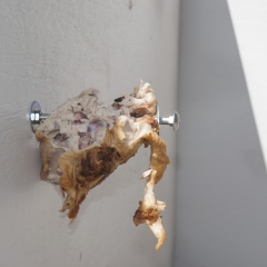 untitled (chickenb) 832009