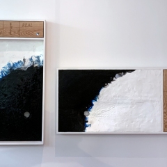 Packaged-Selfhood-Diptych