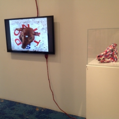 TAKE (installation Central Trak 2013) d