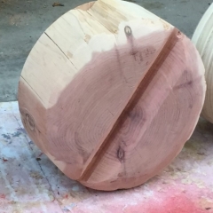 IMG_5778-e1509142750493