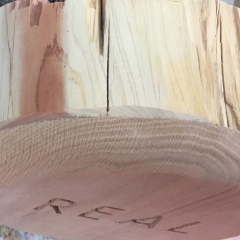 IMG_5781-e1509142645894