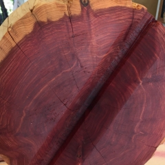 IMG_5795-e1509142548654