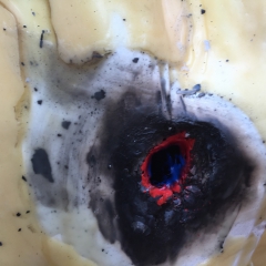 detail wound (puncture)